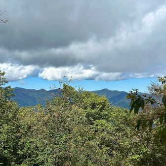 鷹ノ巣山とかの方