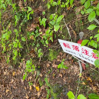 転落注意