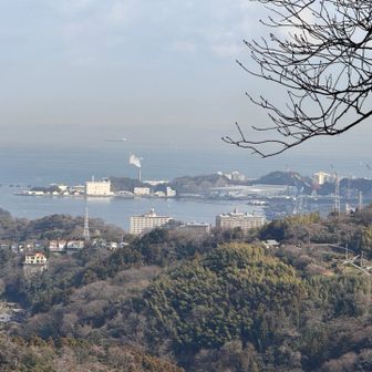 遠くに原子力空母ジョージワシントンも見える