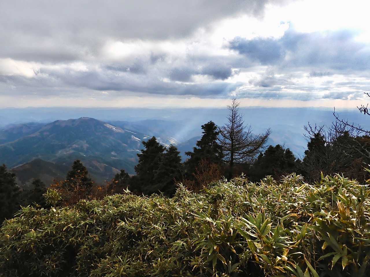 船木山登山口-船木山 往復コースの写真