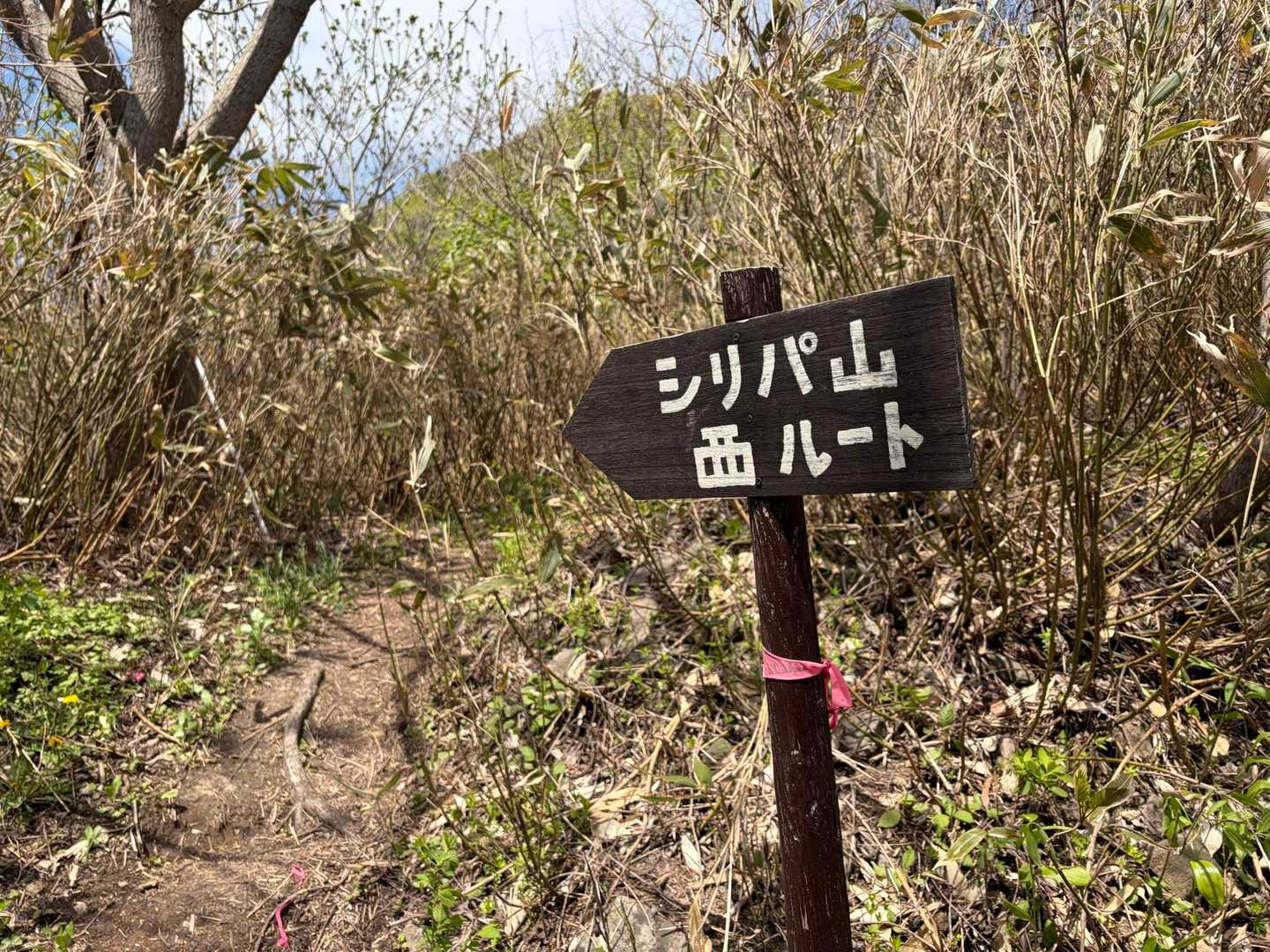 シリバじゃなくてシリパなの？