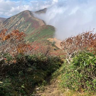 稜線から寒江山方面