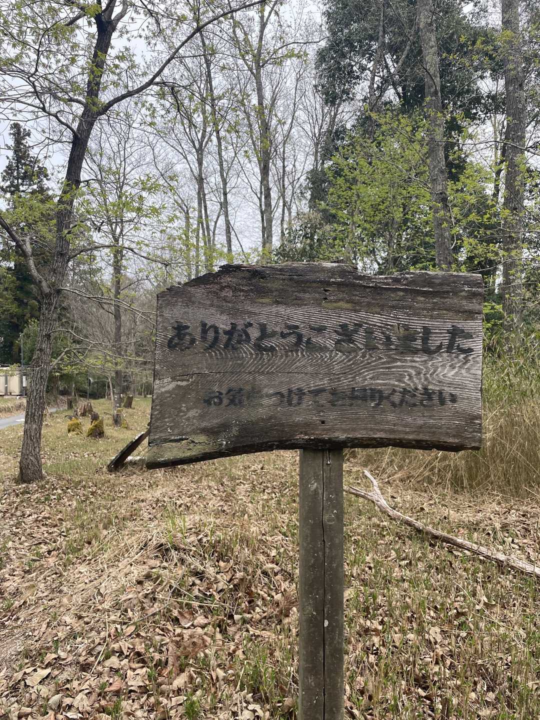 高見城山 往復コースの写真