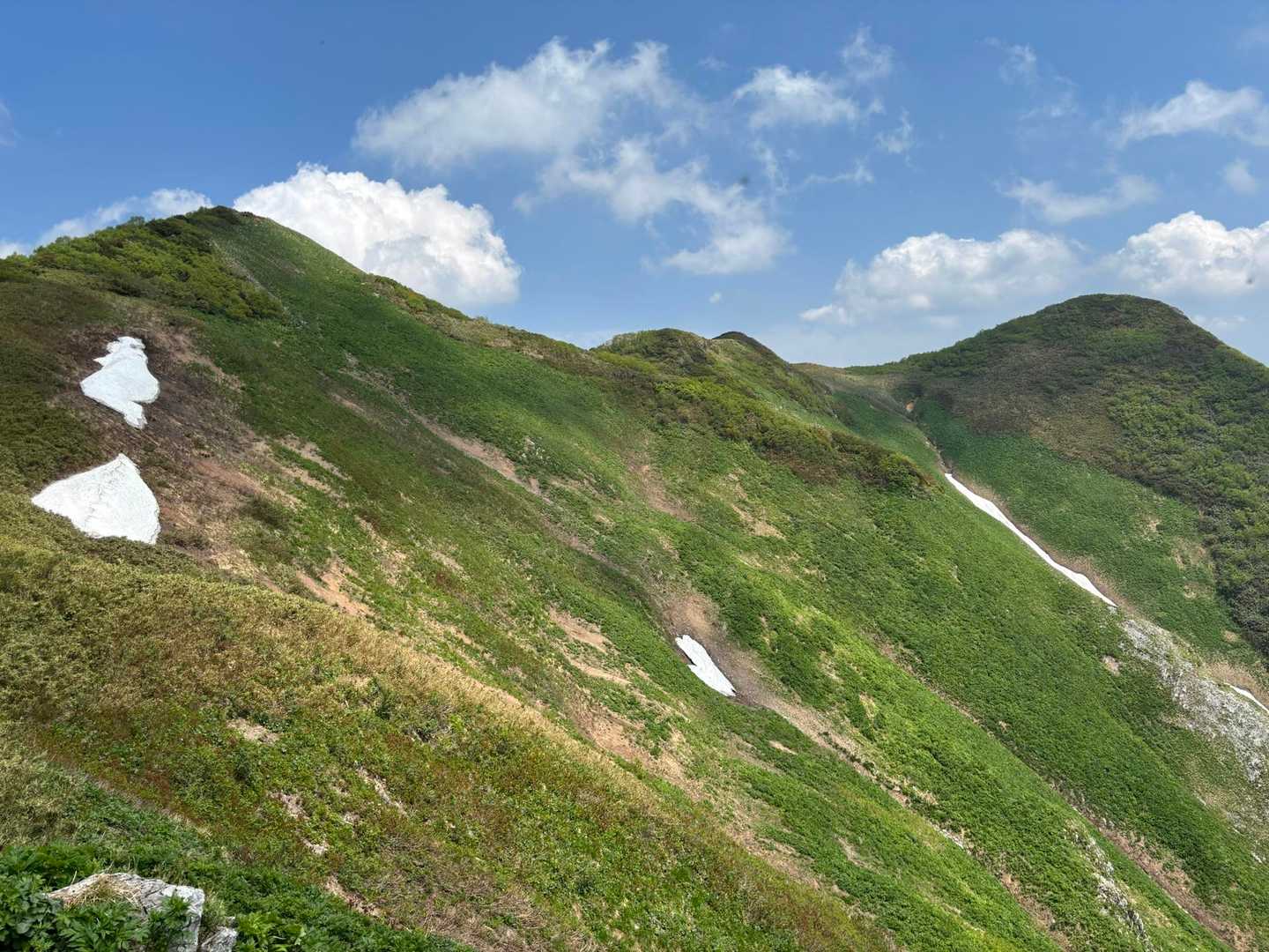 見た目だけだと、
右奥が山頂かと思うよね？
最初のポコを左奥に進むのです👈