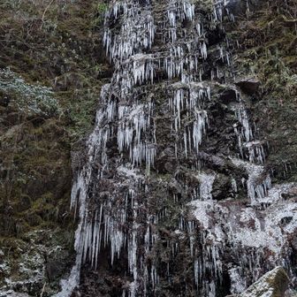先ずは、智室の滝を偵察　ツララは細いけど成長中。
