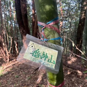 ばんじんやま