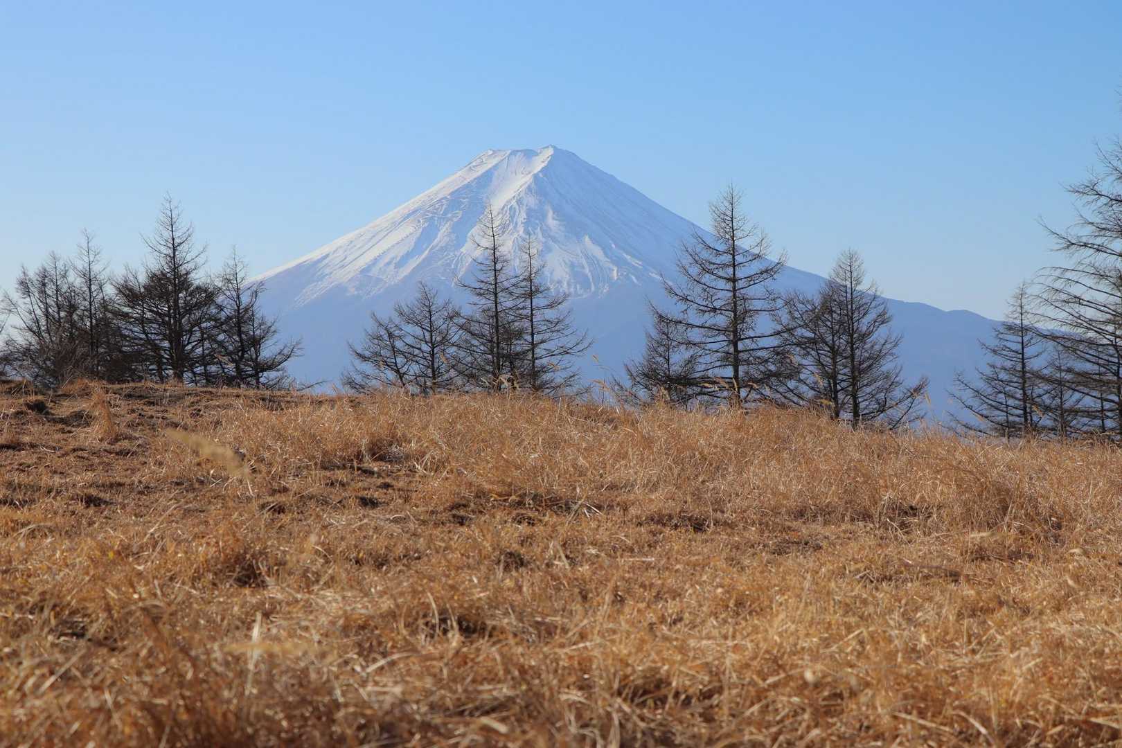 登りきった〜
