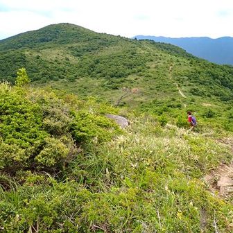 いざ！道後山へ！！
この景色　
登山ガイド本で
良く見た景色♪