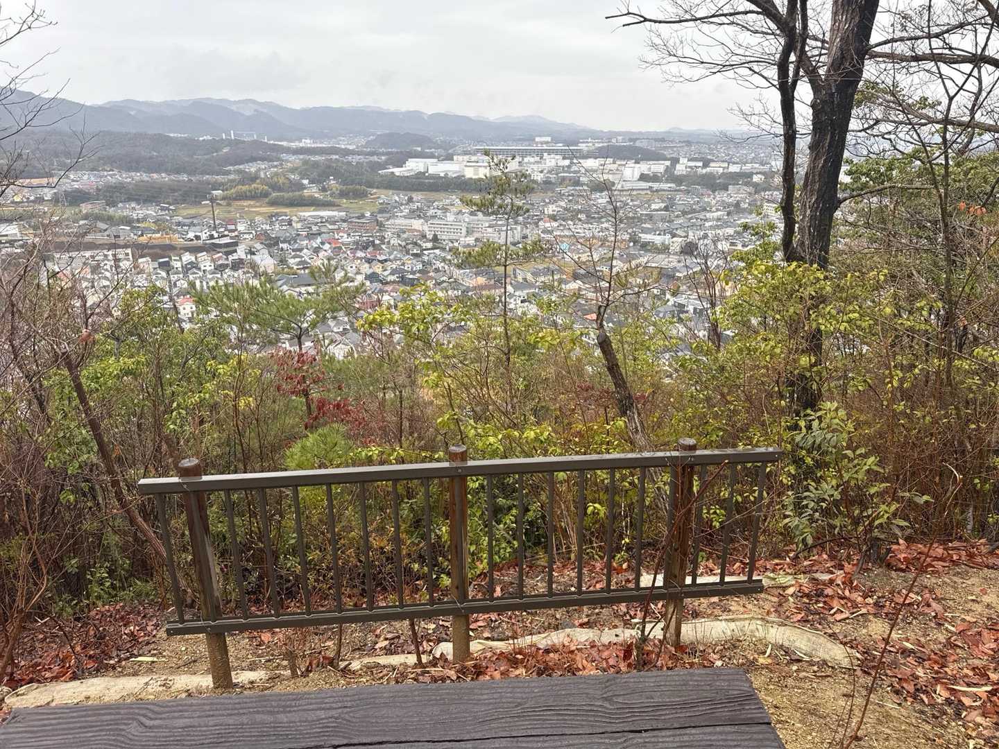 階段を登ると景色良いとこありました♫