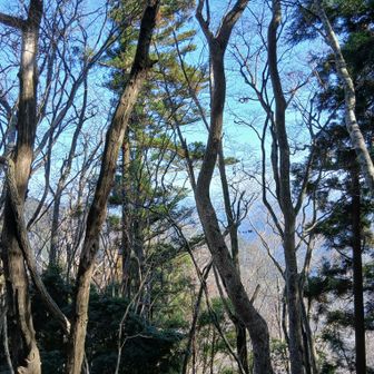 見えそうで見えないんです