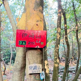 伊崎山（いさきやま）