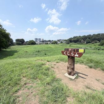 山頂から武蔵小金井方面を望む😲