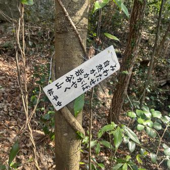 はい、山頂が楽しみです😊