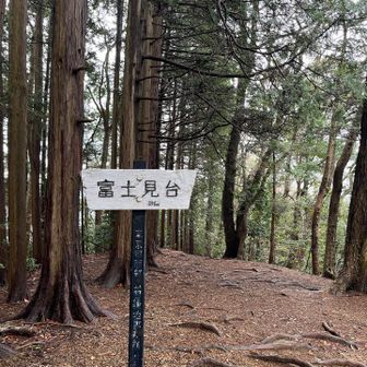富士見台🗻
曇ってて富士山は見えず
