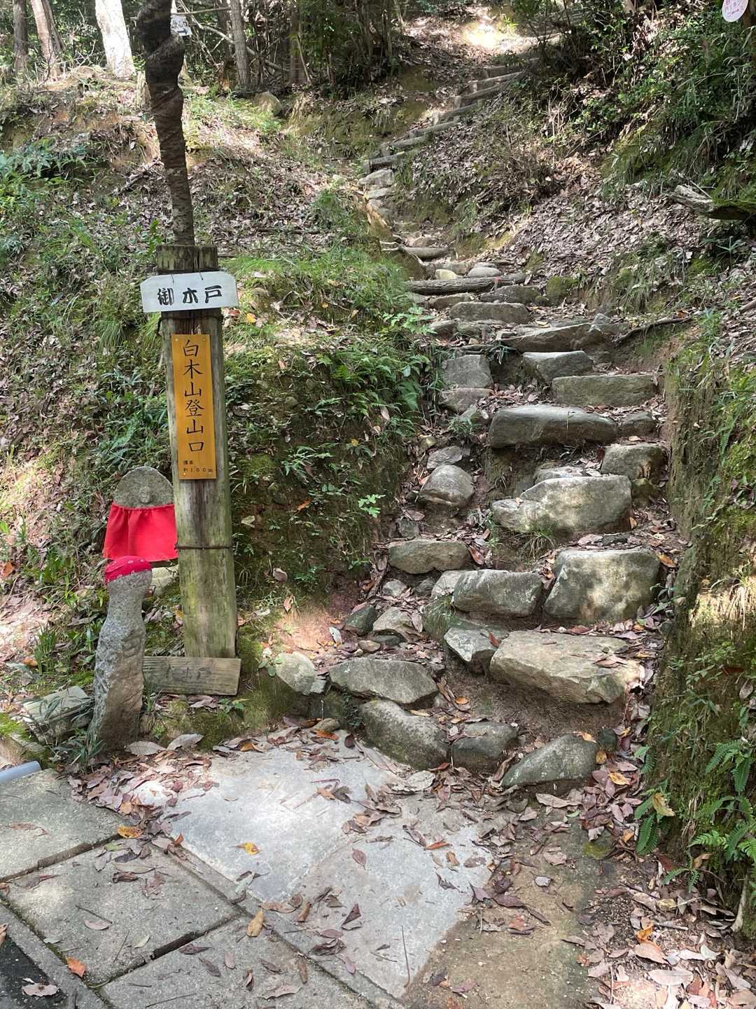 今日もよろしくです👉