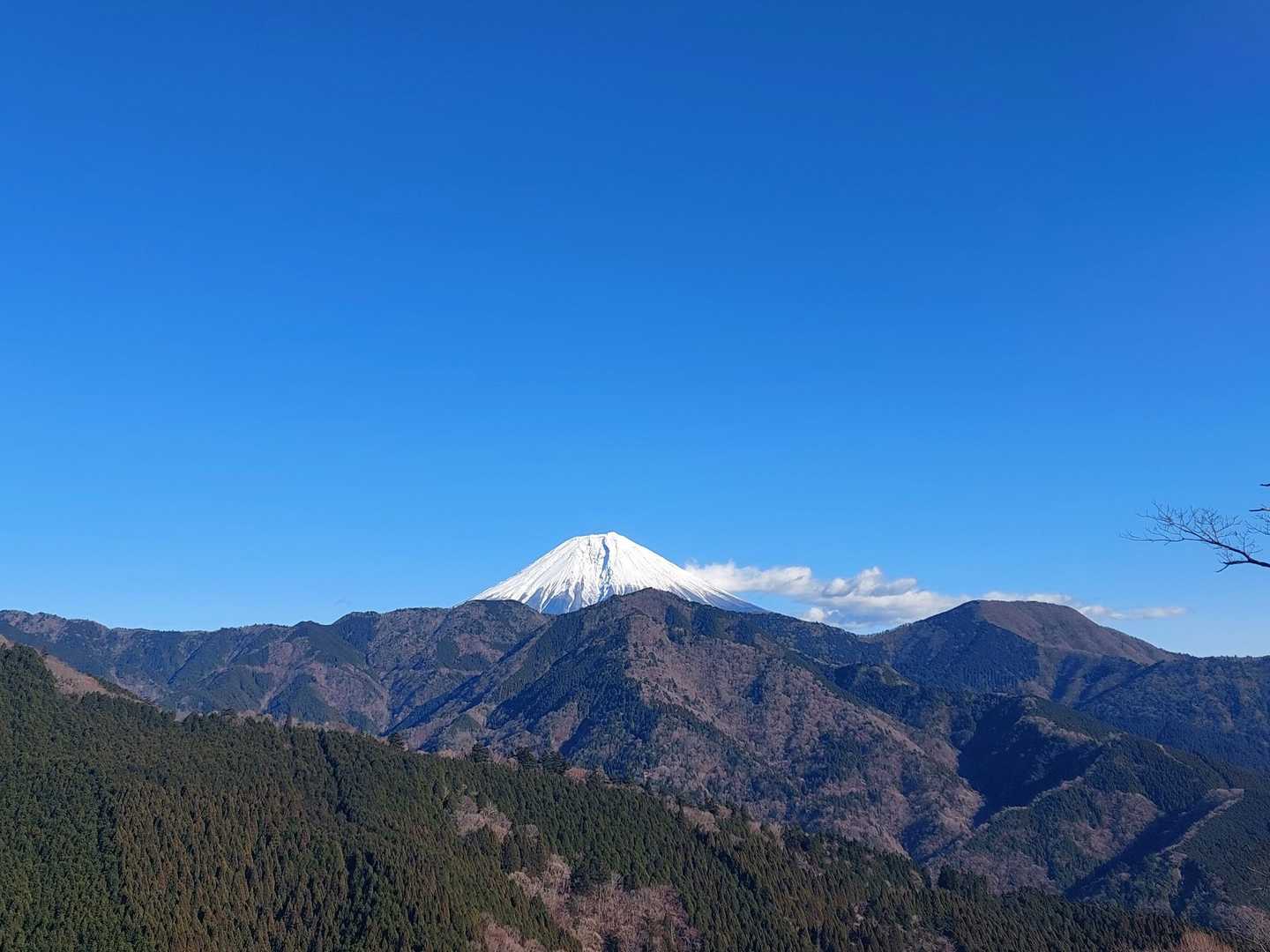 やっぱり🗻