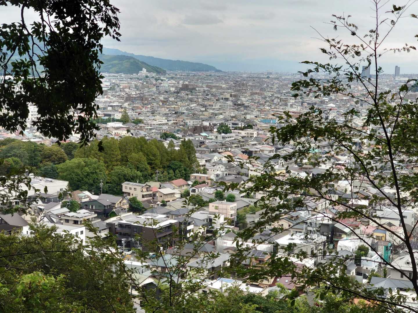 浅間山 往復コースの写真