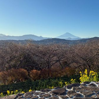 もっとズームで撮りたい