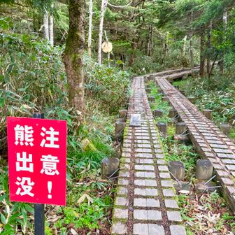 木道