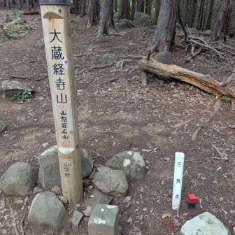 頂上。この先のもう一つ奥の山に行ってみたい。また今度。