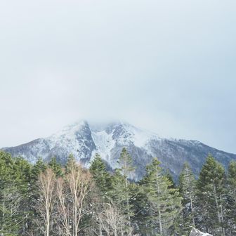 下山はあっという間。登りよりも人に踏まれて歩きやすい。相変わらず時々踏み抜くけどザクザクおりれました。振り返ると雲に覆われた山頂。間に合ってよかった。
今日のロープウェイは14時15分までというアナウンスを聞いて急いでロープウェイへかけこむ。風でゆっさゆっさ揺れたけど無事に下山できました～
