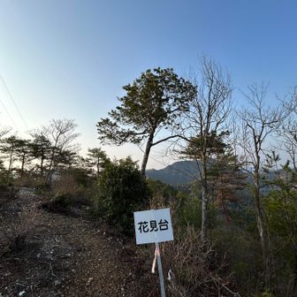 花見台に到着⛰️