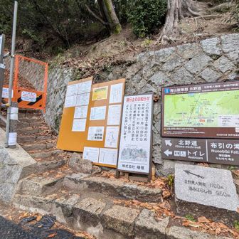 通行止め期間に注意。