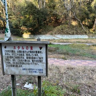 向こうの山から降りてきました。
ホタル見れるのかな
こういうとこが増えていくといいね
