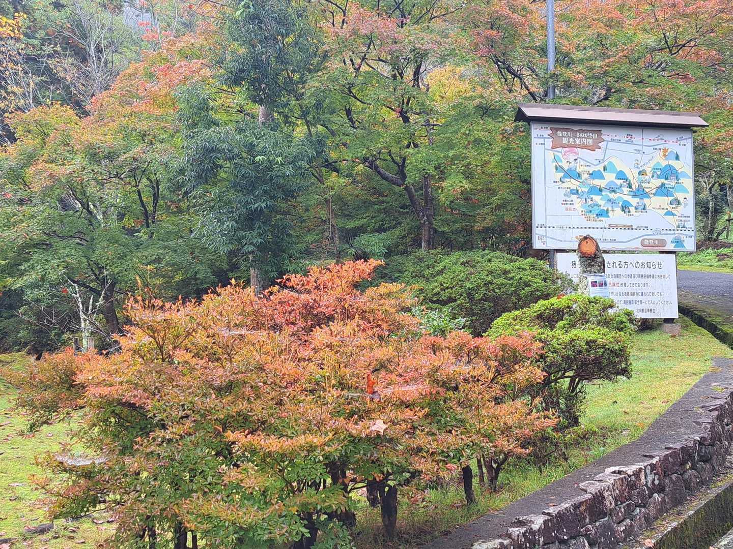 行ってきます〰🚶‍♀️
今日は☔降らないでよ🤣