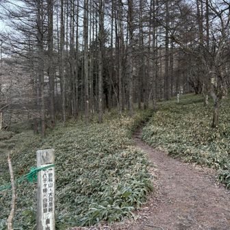登山口に入るとき、ウキウキする
