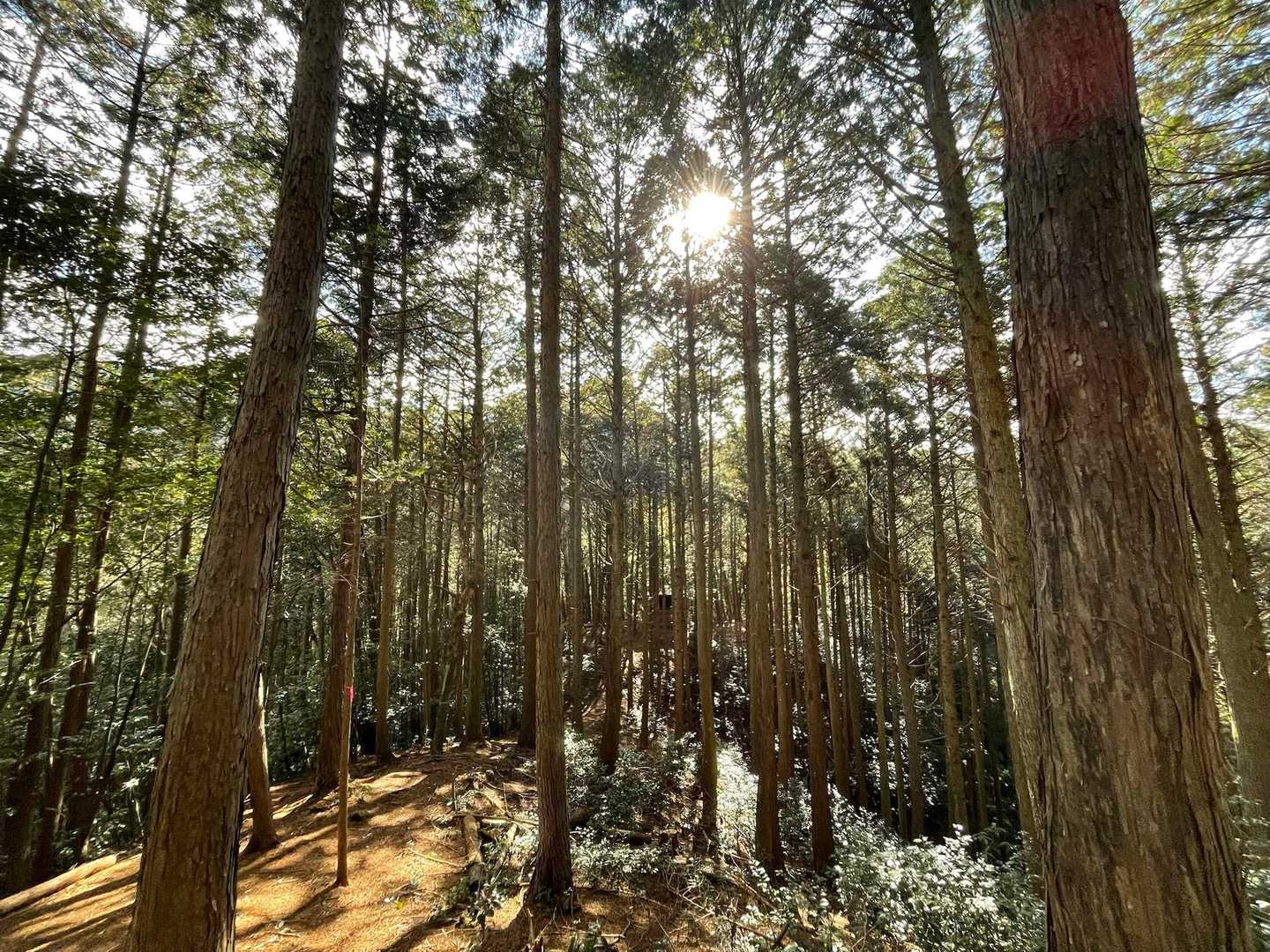 移動して登山開始