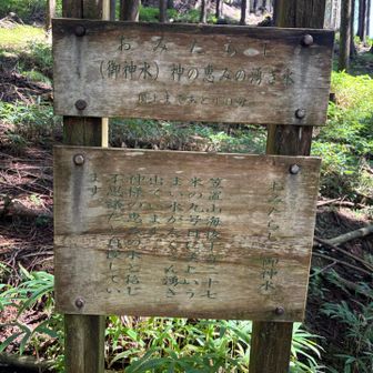 おみたらし(湧き水)