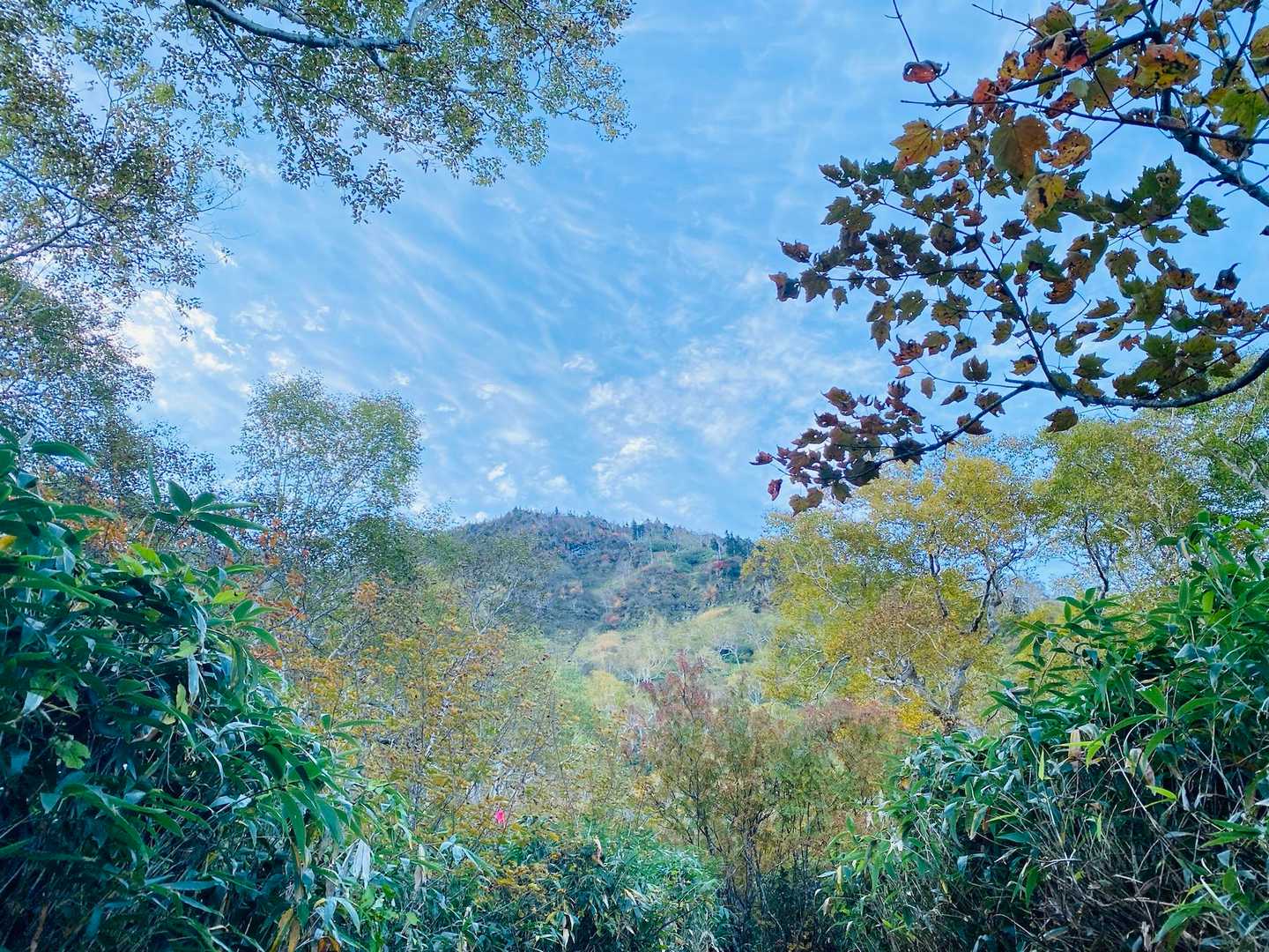 秋色✨