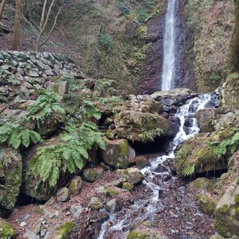 ただよろ〜
(ただいま、養老の滝)

養老の滝を、撮るならこの角度が📷️(以下略)
↑いつも言う