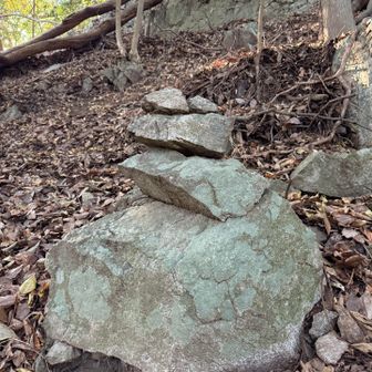 ケルン？

なかなかの落ち葉まみれの急坂を下る💦