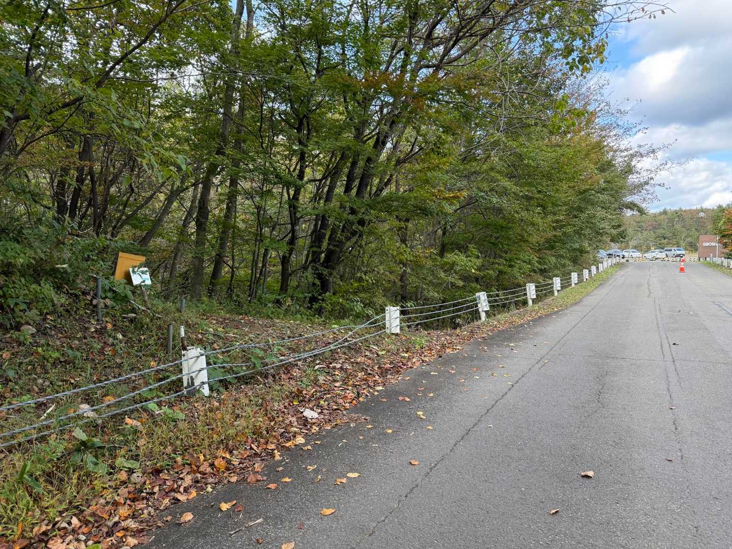 無事道路まで下山、10分程歩いて車へ戻りました