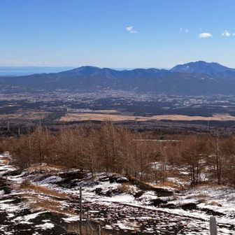 振り返ると…
箱根駅伝復路🎽スタートしてる箱根ガイリ〜ン一望
