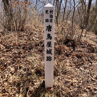 🚩唐鳥屋(からとや)城跡到着。やったー！
ここまで来たら後はラクかも🙌

…ではなかった笑