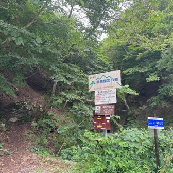 コグルミ谷コースで下山してきましたが
中々大変な下山道でした。
でも、ここから登ってくる人が多かったですね。
