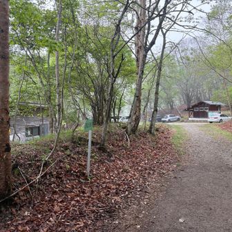 湯沢峠駐車場
ここから左の沢筋に入っていくのが正解✅なんですが、間違って真っ直ぐ林道を歩いて行ってしまった‥‥30分ロス😭