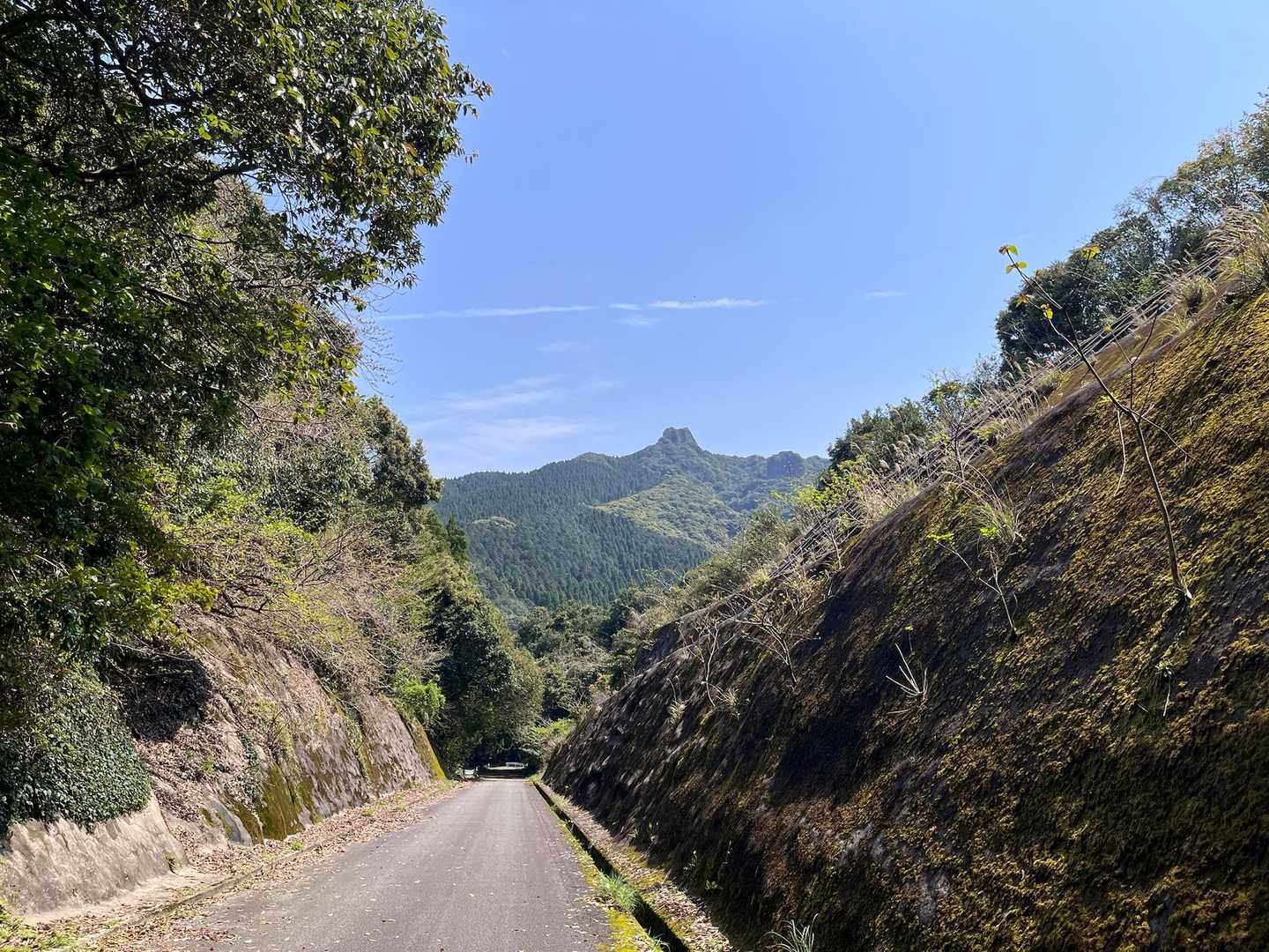 最強低山🪨恐るべし⛰️