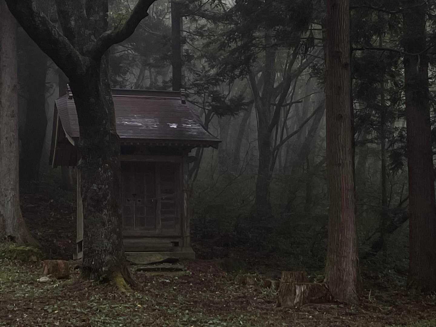 雨も厳かな感じで雰囲気良い
…とちょっぴり負け惜しみ的に思う