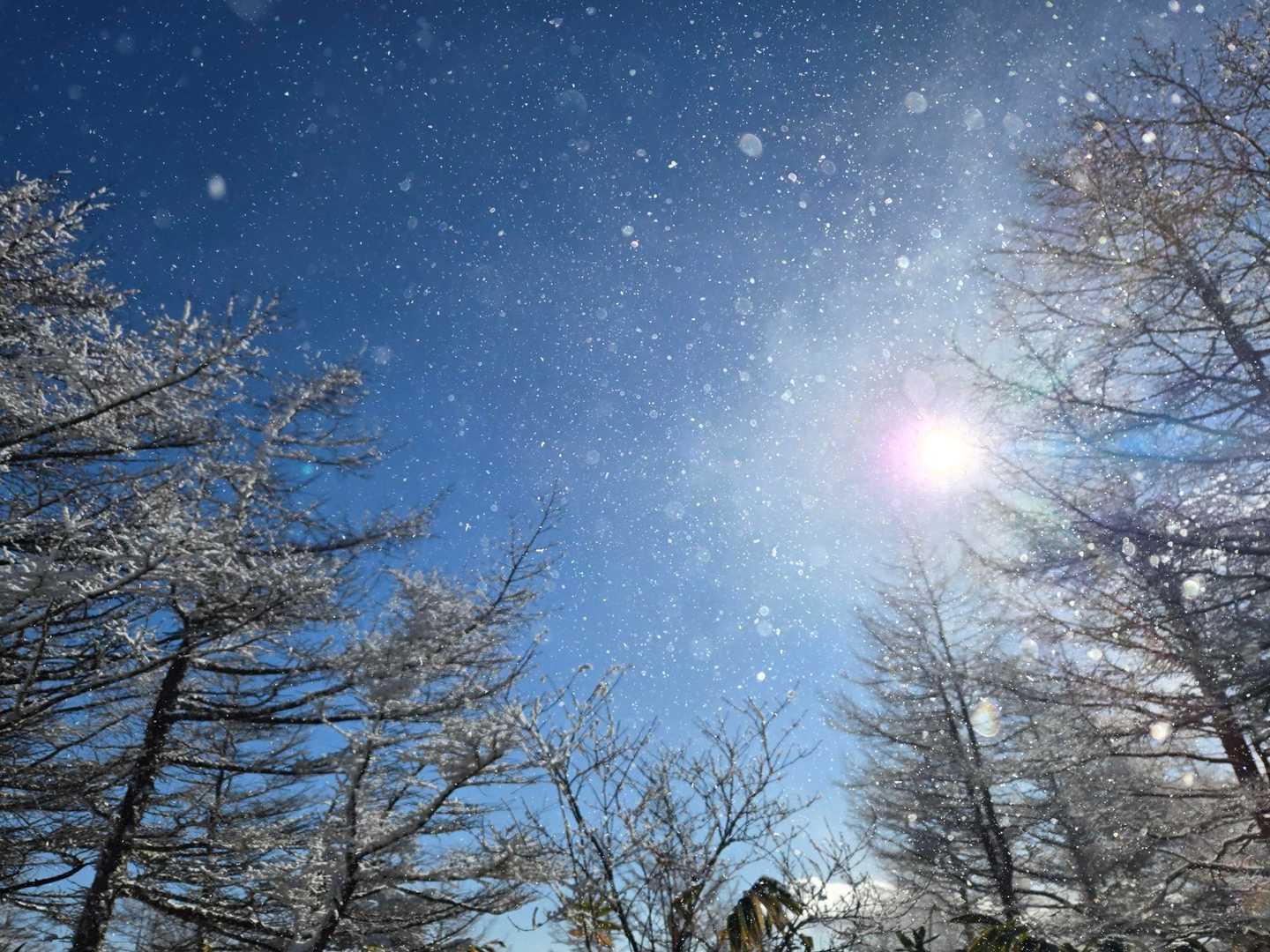 南沢山-横川山 往復コースの写真