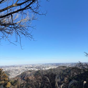 金毘羅台から都心
スカイツリーも見えました