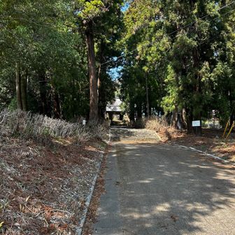 大中寺さんだぁ