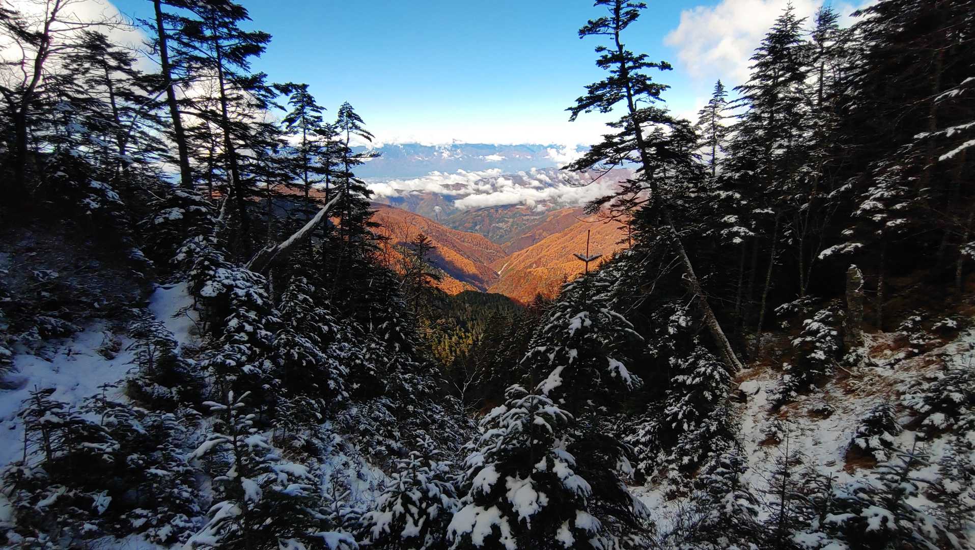 本谷山-三伏山-三伏峠-鳥倉登山口-越路バス停 縦走コースの写真