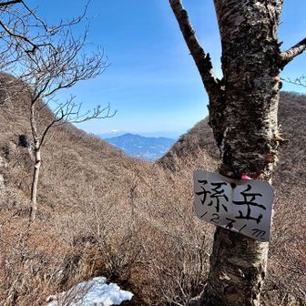 孫岳。この辺は雪がたくさん残っていて慎重に歩きました。一昨日登った子持山、獅子岩からもここが見えていたはず。