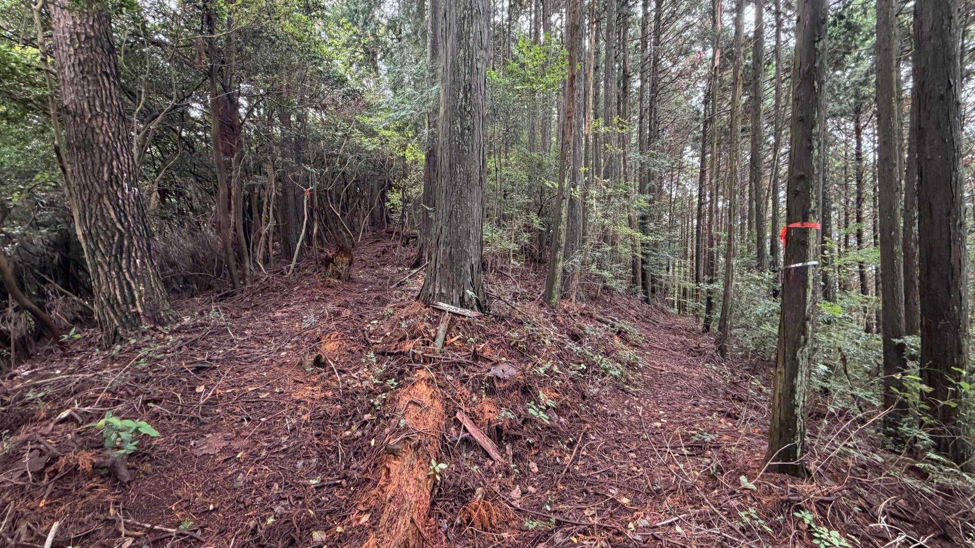 五郎丸の山頂は左です👈
※右は巻道