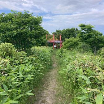 山頂*\(^o^)/*
誰もいない(^^)