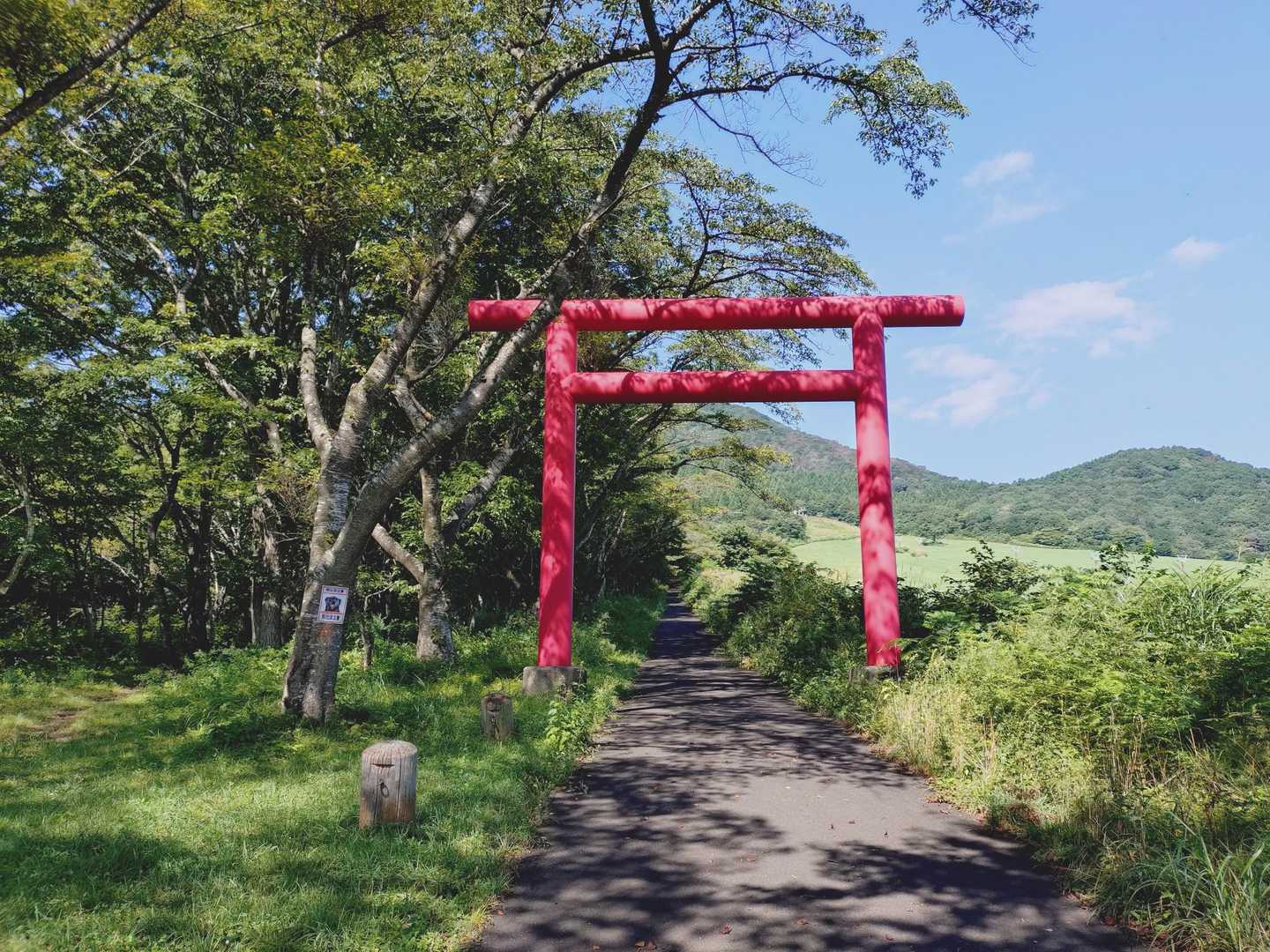鳥居から始まりました